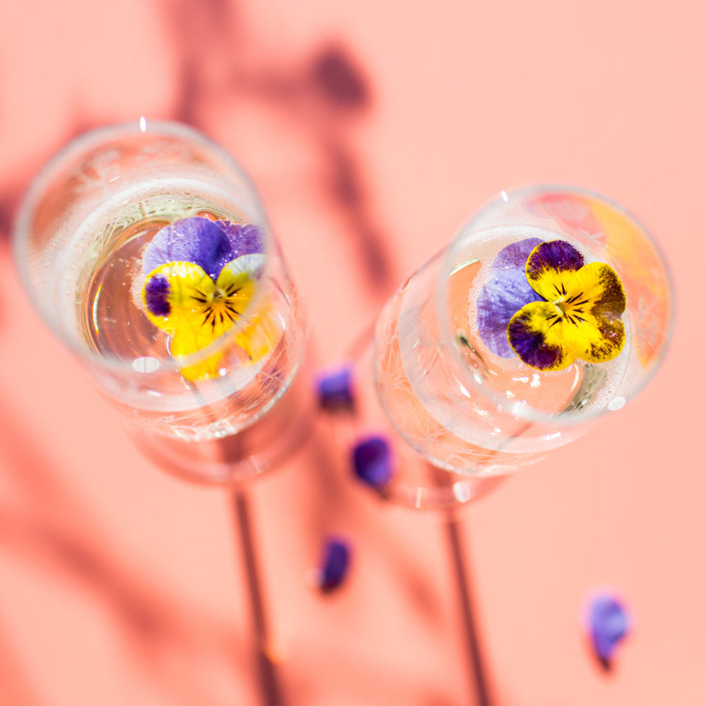 Two glasses of champagne with edible flowers on a pink background