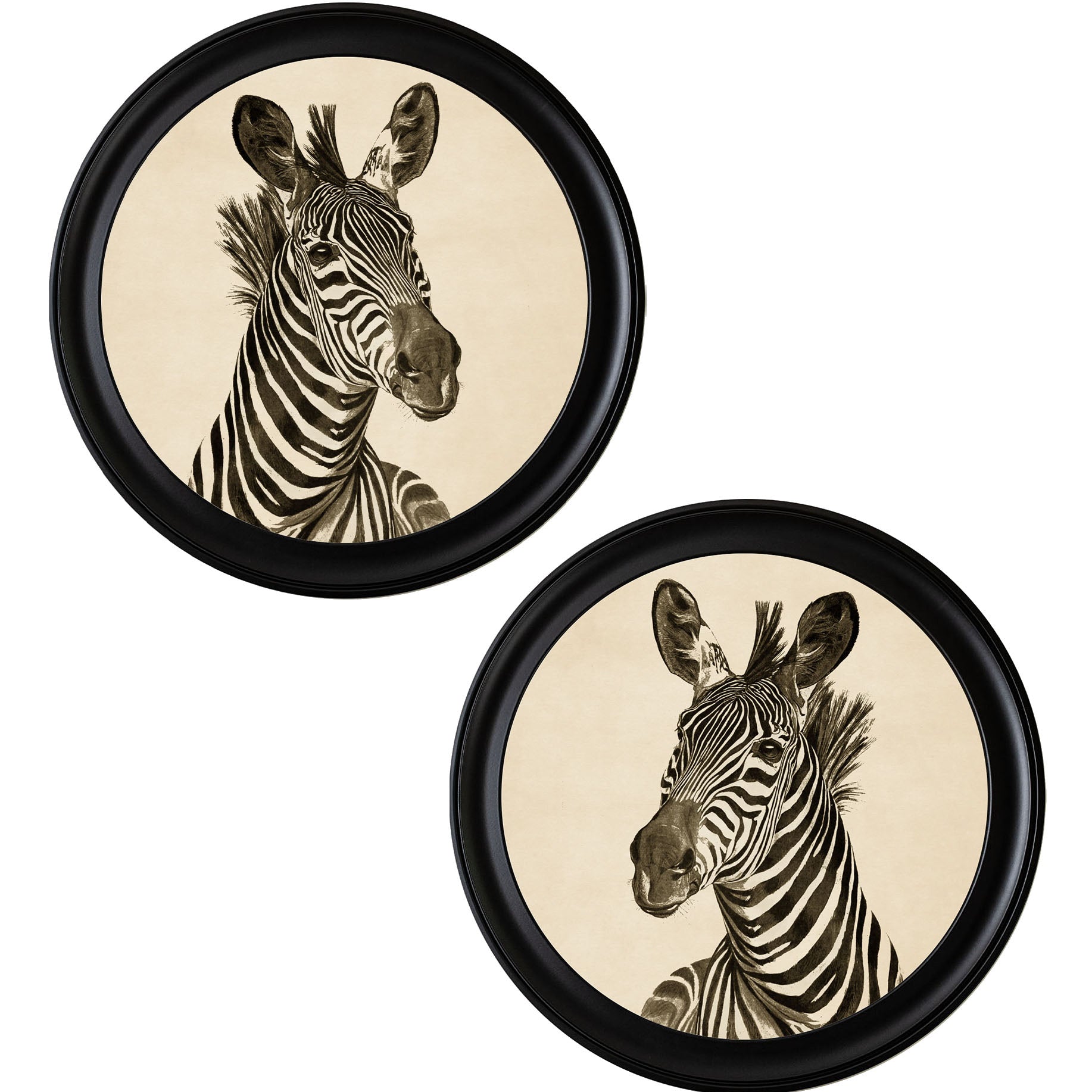 Step into the wild- Striped Symphony Collection