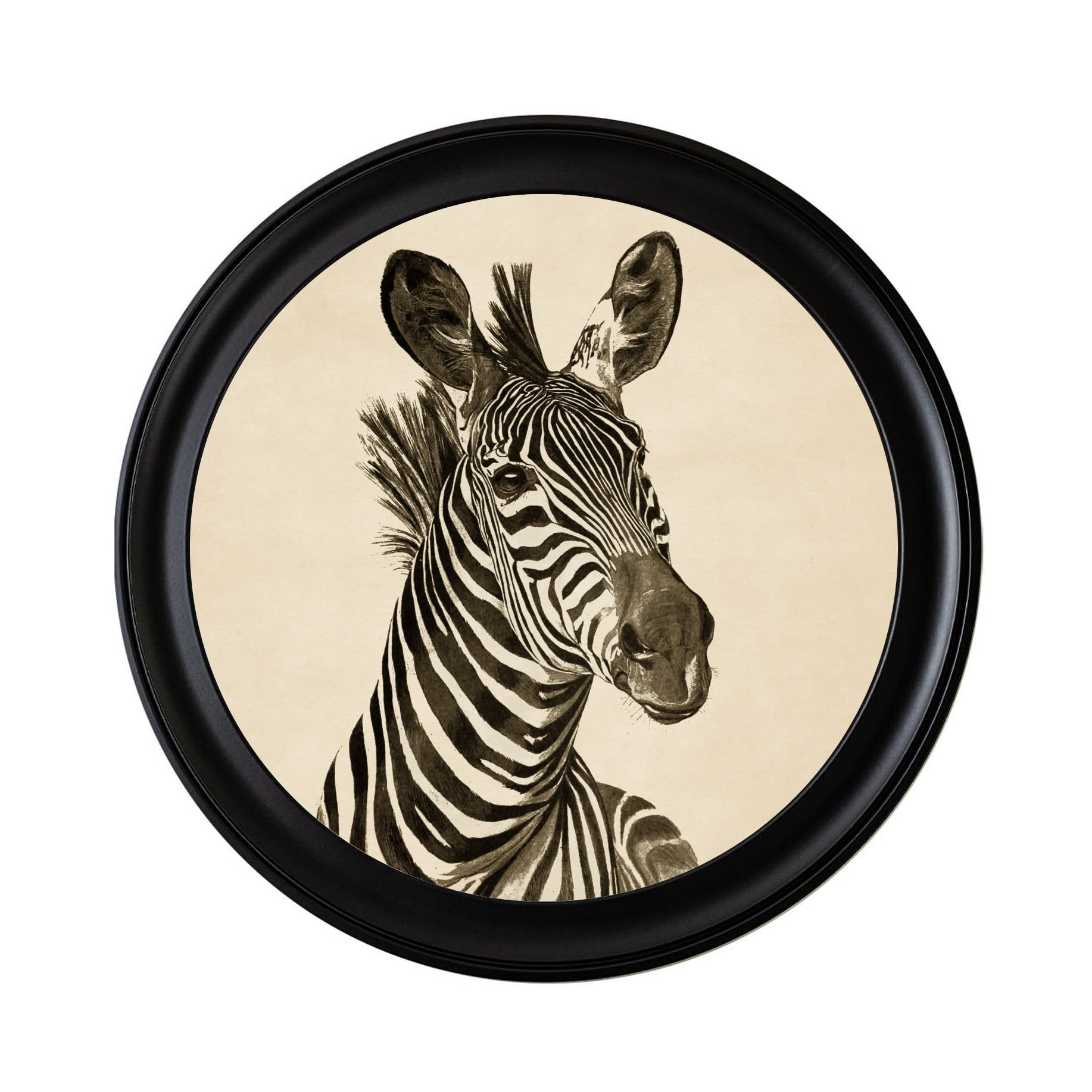 Step into the wild- Striped Symphony Collection