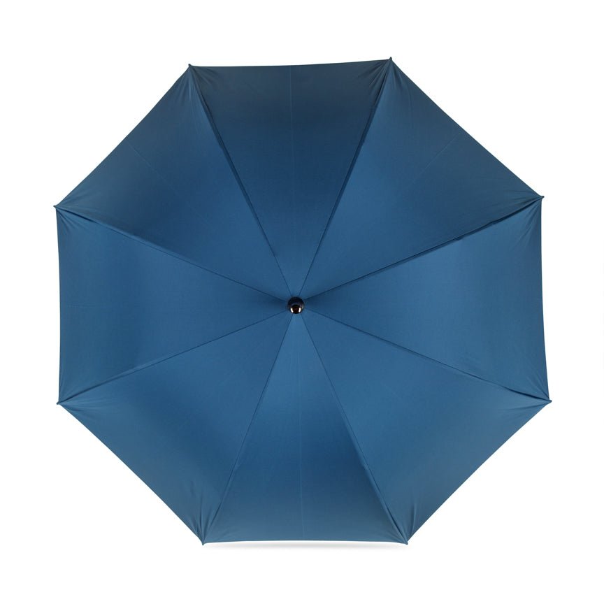 Blue umbrella on a white background