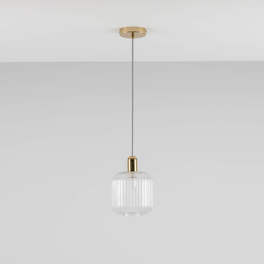Clear Ribbed Glass Shade Ceiling Light