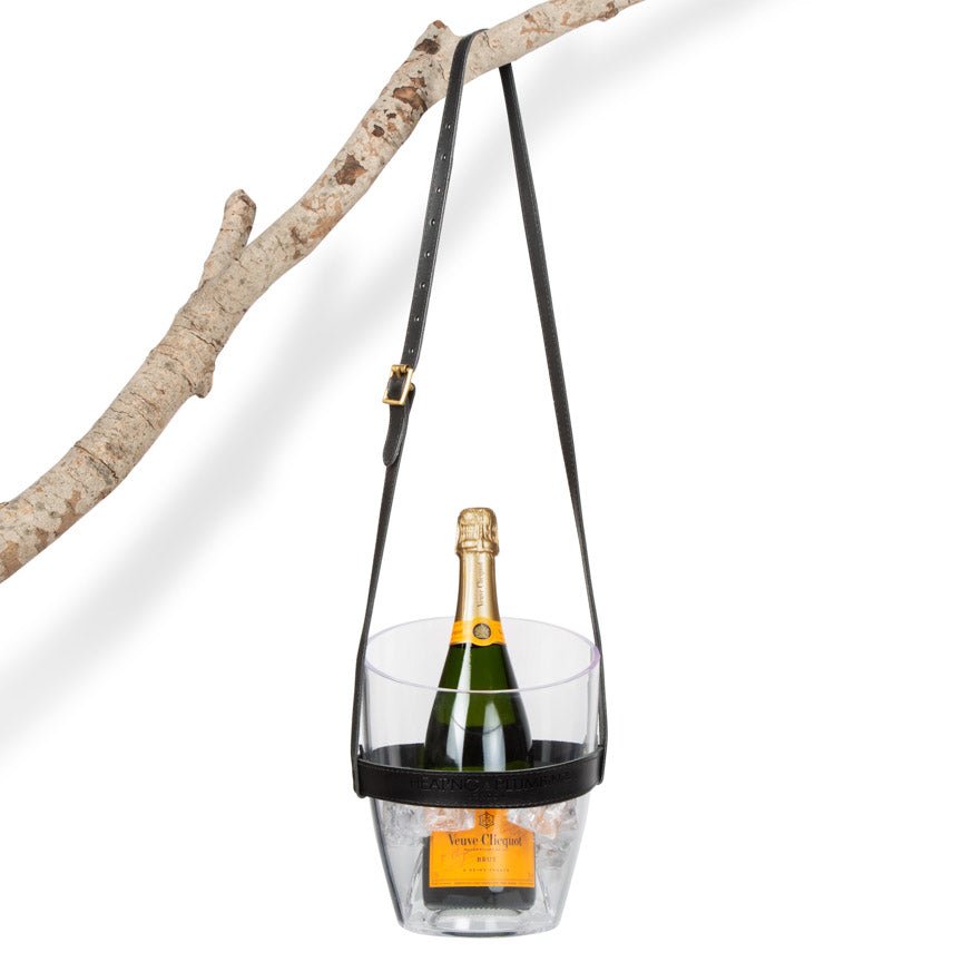Clear wine holder with a bottle of champagne against a white background