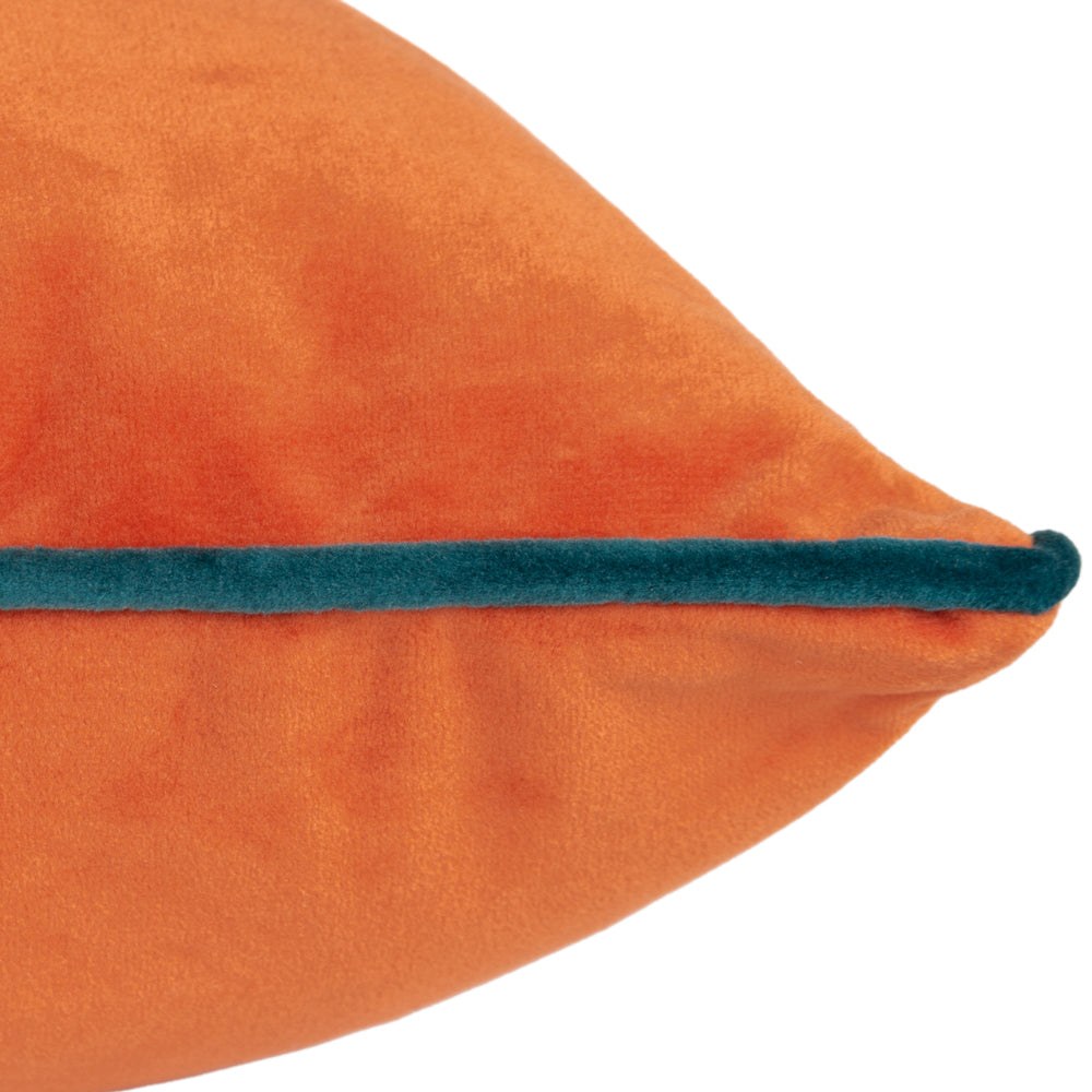 Meridian Velvet Cushion Tiger/Teal
