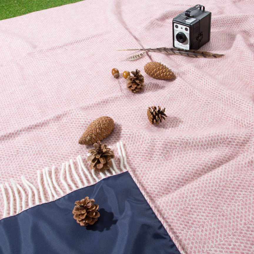 Pink blanket with pine cones and a vintage camera on a grassy background