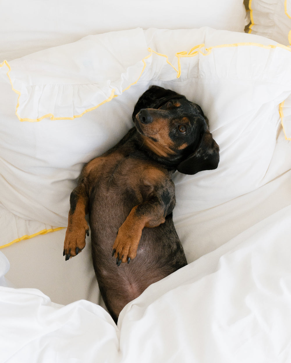 Why Now Is the Perfect Time to Refresh Your Bedding Before Spring