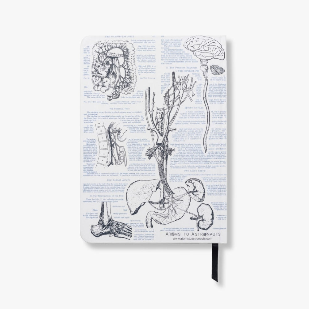 Notebook with anatomical illustrations on a white background