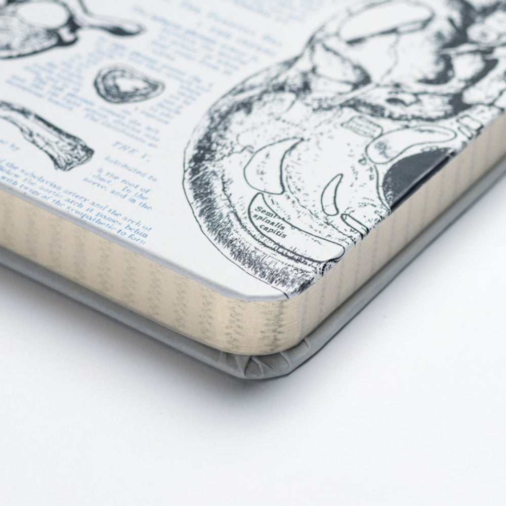 Close-up of a book with detailed illustrations on a white background