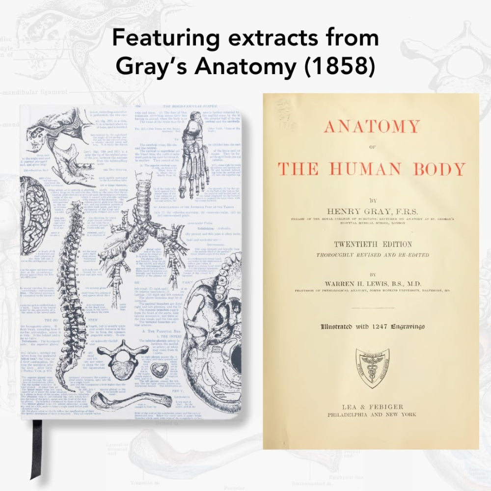 Anatomical book with illustrations and title 'Anatomy of the Human Body' from 1858 on a light gray background.