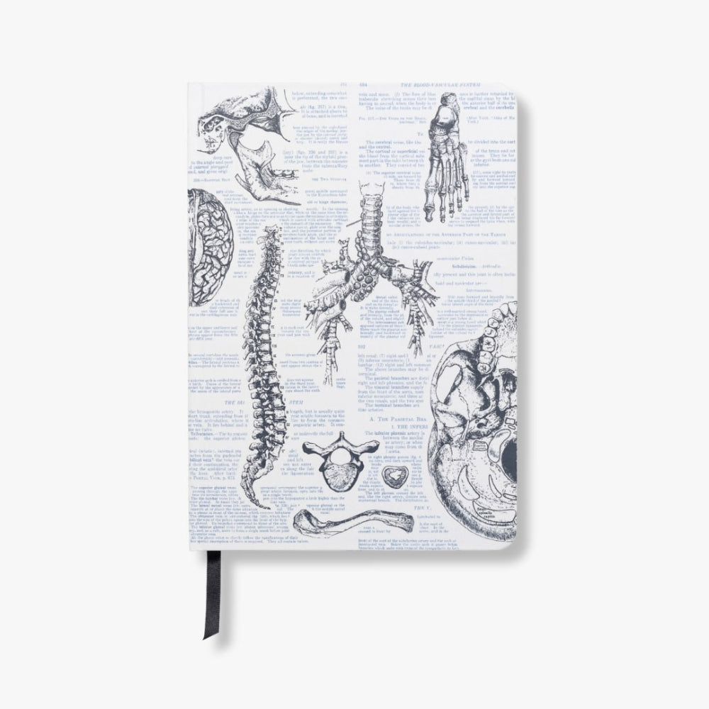 Notebook with anatomical illustrations on a white background
