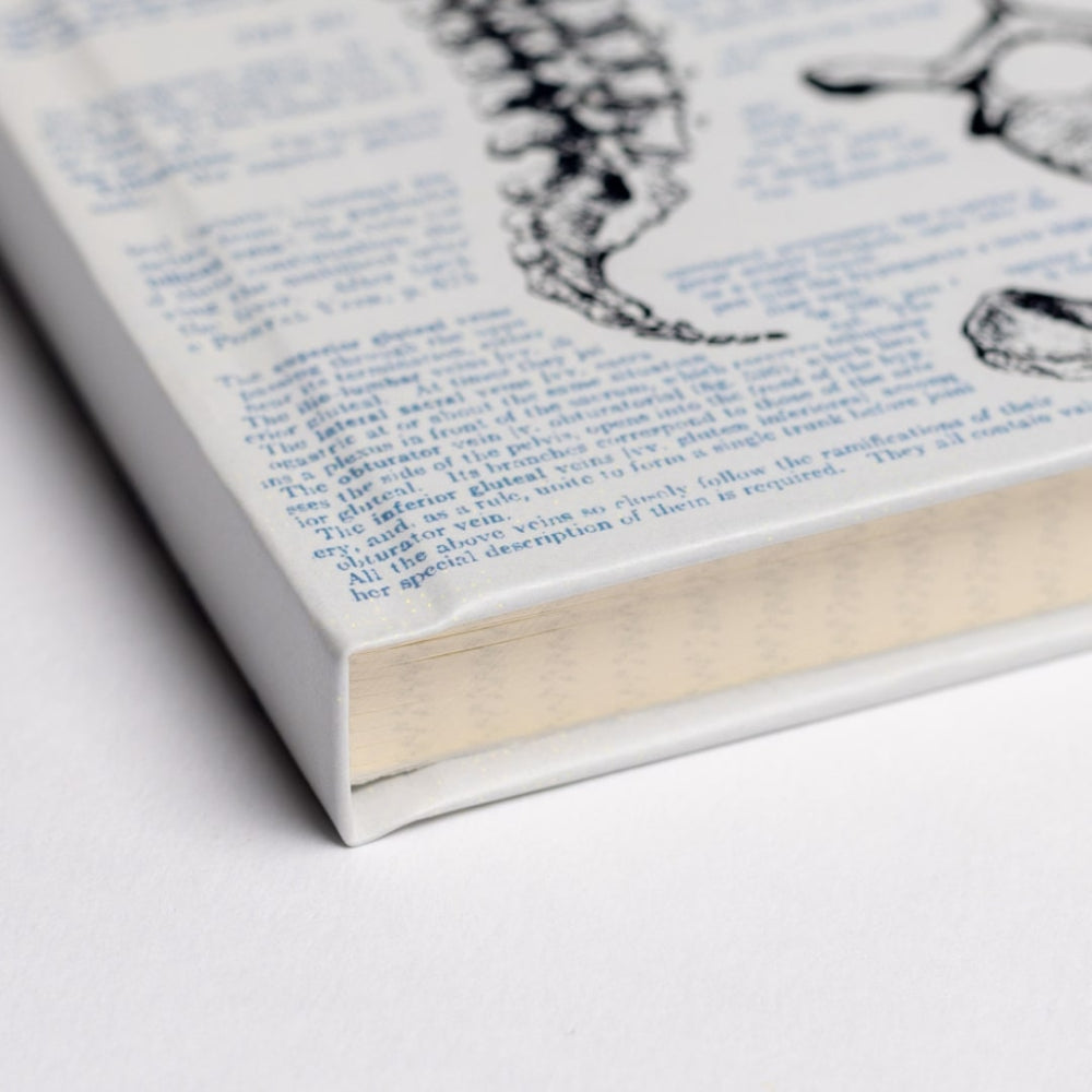 Close-up of a book with text and illustrations on a white background
