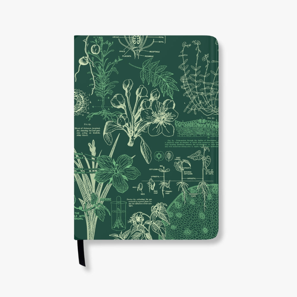 Green A5 Notebook with botanical illustrations on a green background