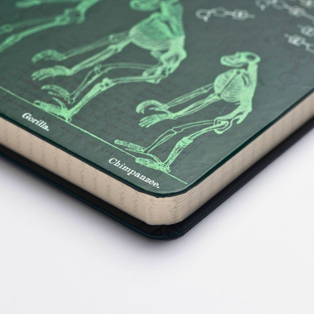 Book with green animal skeletons on a dark green background