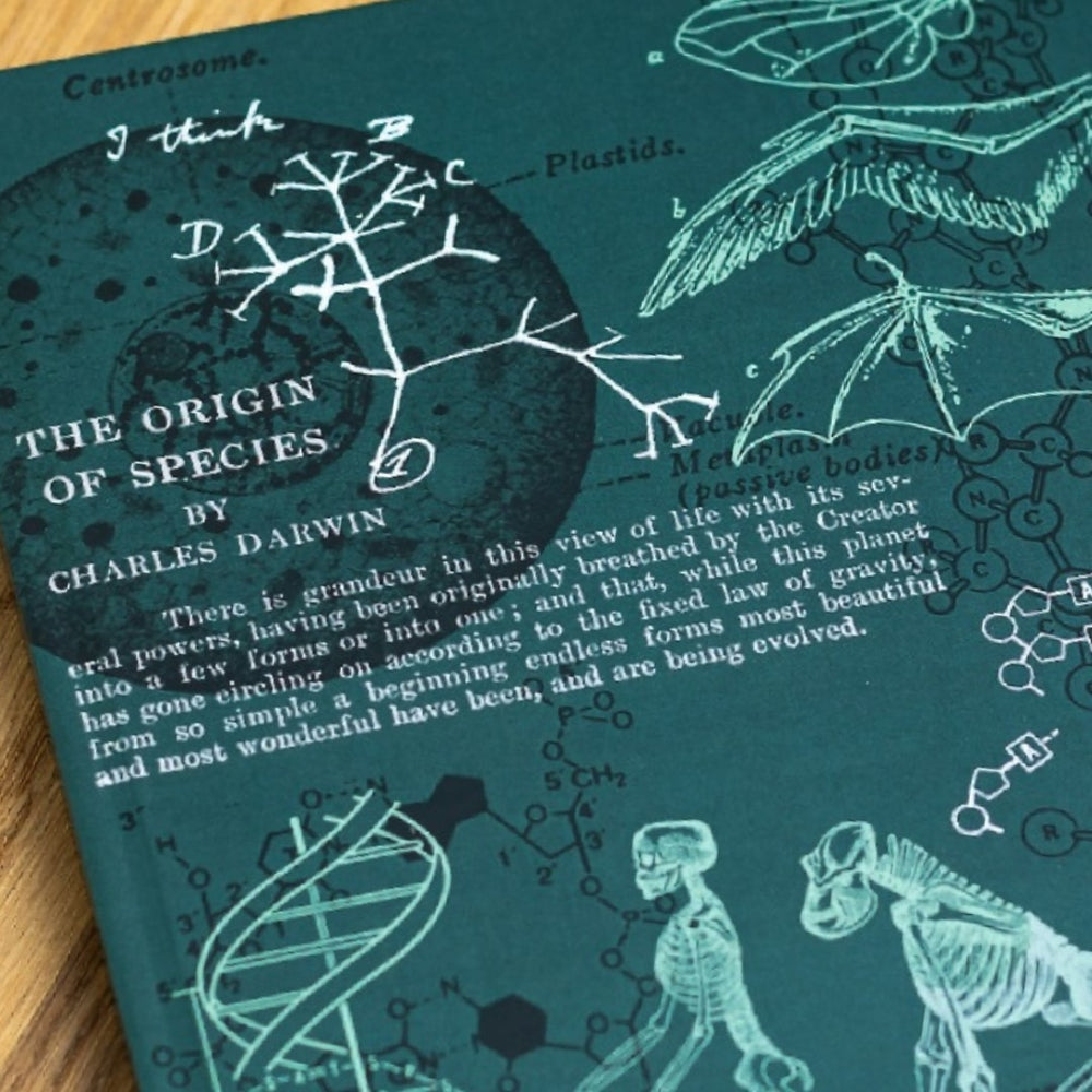 Book cover of 'The Origin of Species' by Charles Darwin with scientific illustrations on a teal background.