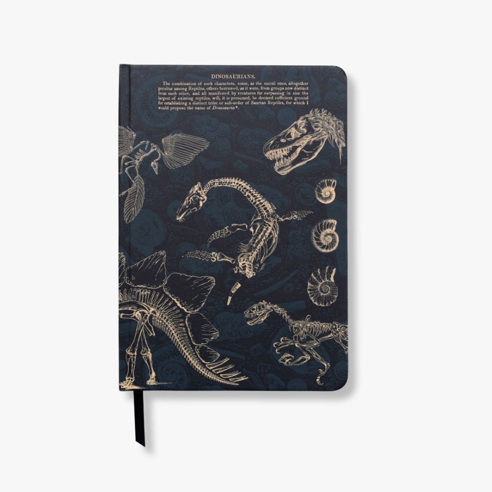 Notebook with dinosaur skeleton illustrations on a dark blue background