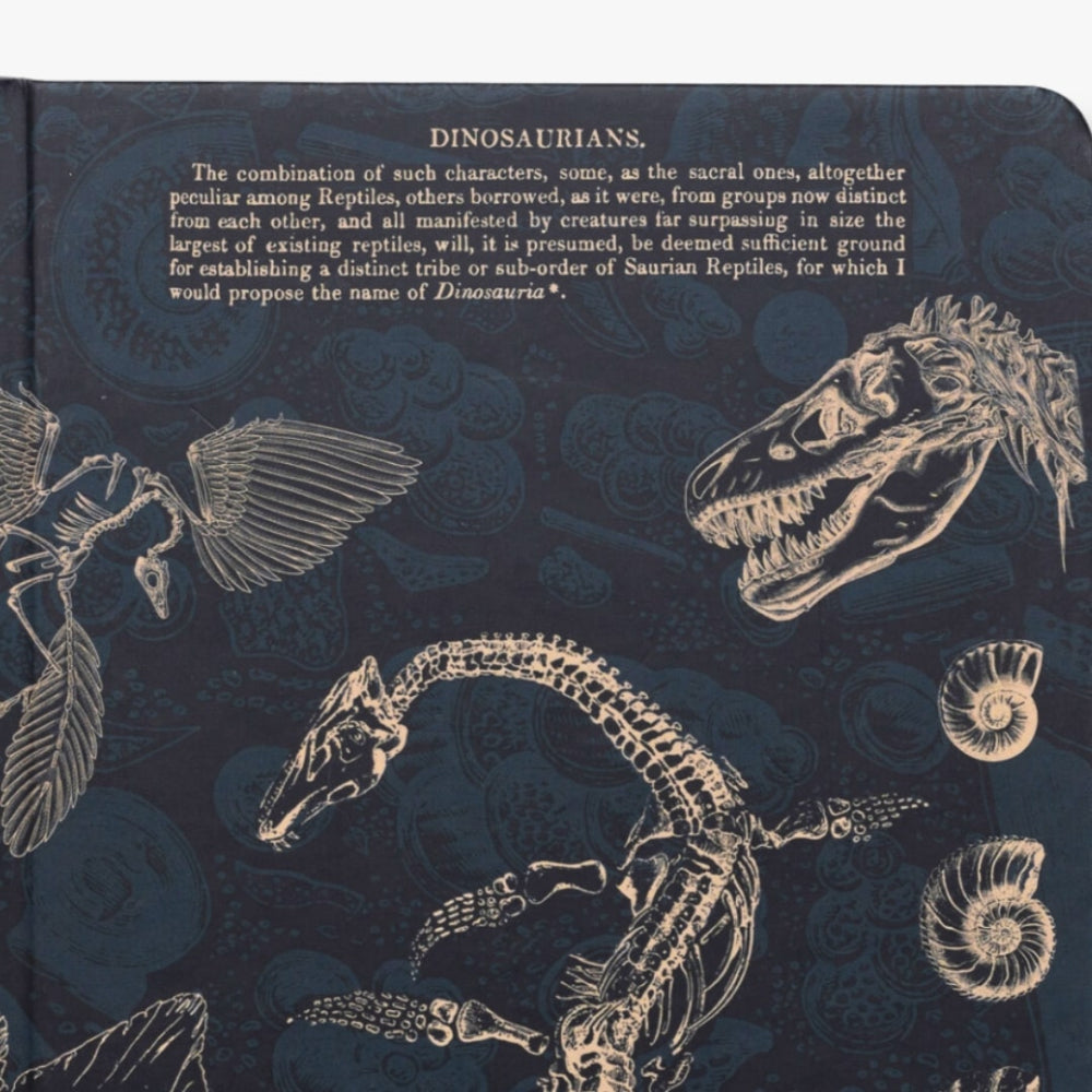 Illustrations of dinosaur skeletons and fossils on a dark blue background with text.