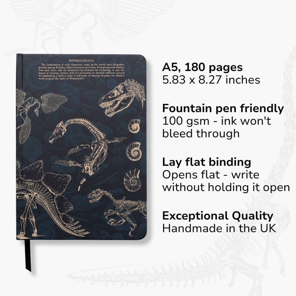 Notebook with dinosaur illustrations on a white background