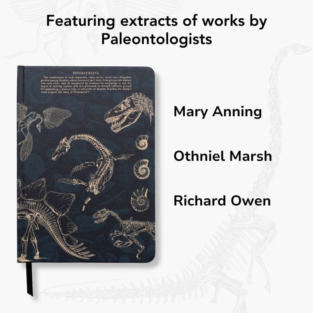 Notebook with fossil illustrations on a white background, featuring extracts of works by Paleontologists.