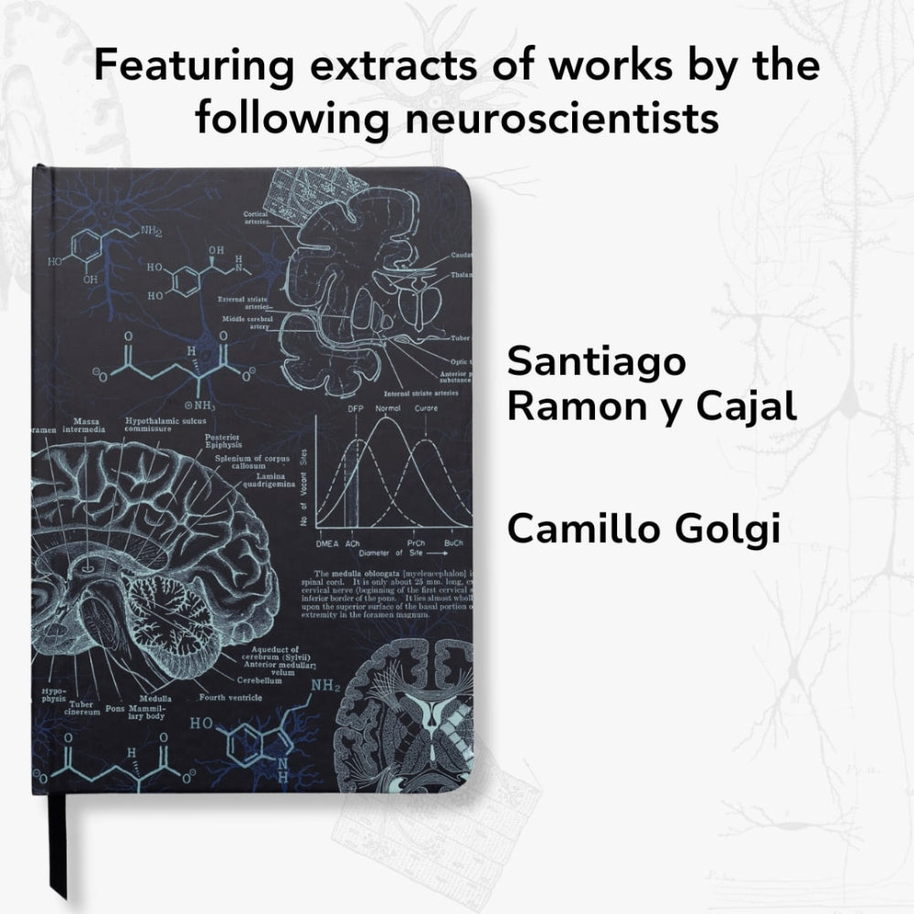 Notebook with neuroscience illustrations and text about Santiago Ramón y Cajal and Camillo Golgi on a light grey background.
