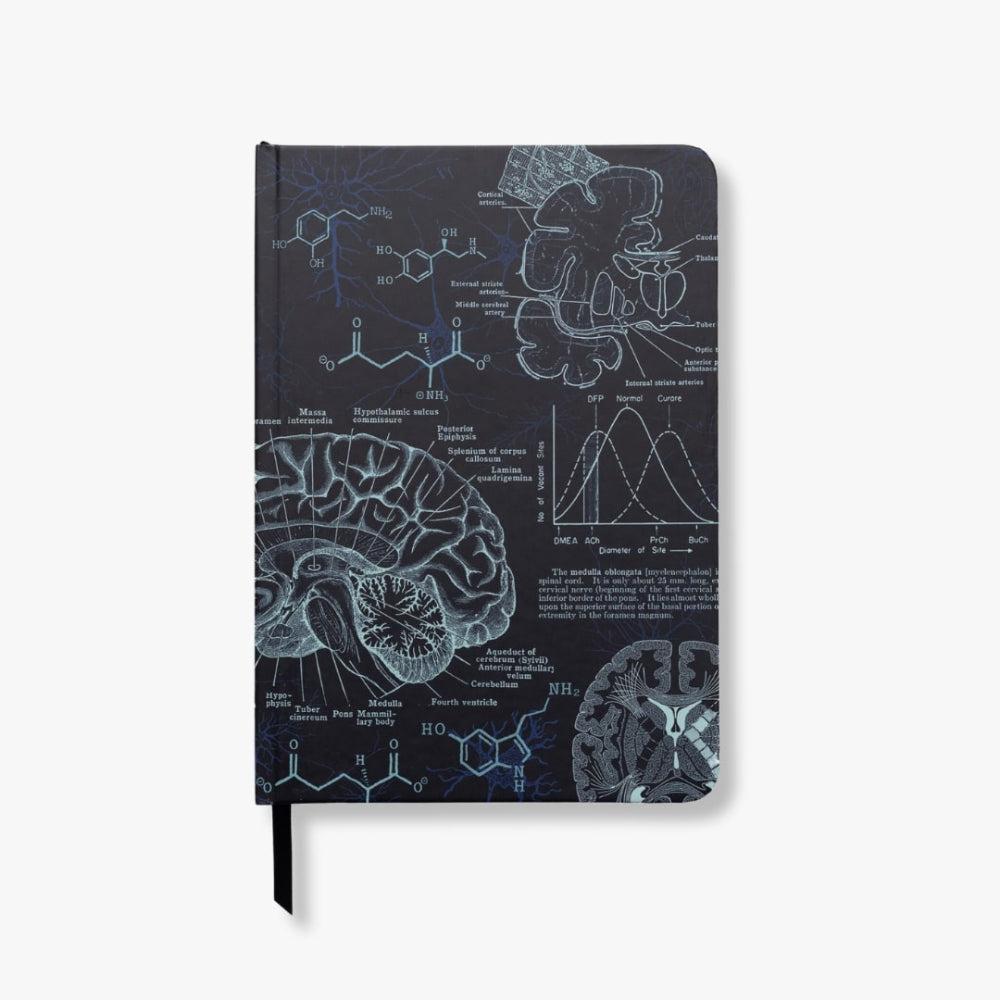 A5 neuroscience Notebook with scientific diagrams and text on a white background