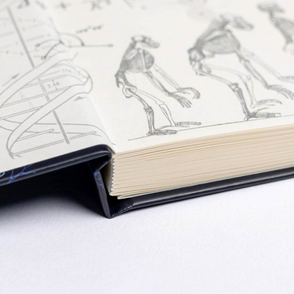 Open book with black leather binding and white pages on a white background