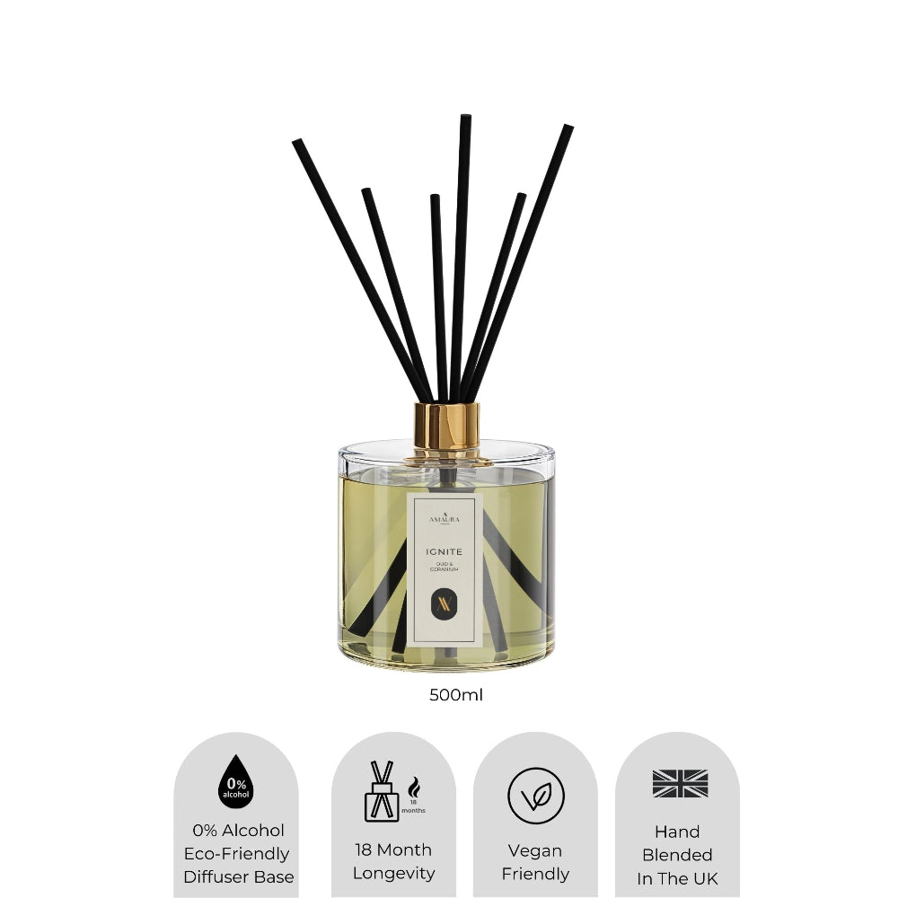 Diffuser with black sticks and a clear bottle on a white background