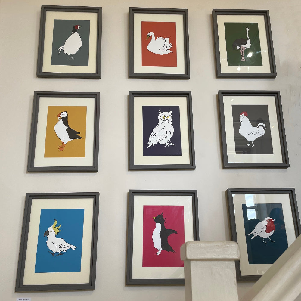 Framed illustrations of various animals on a wall
