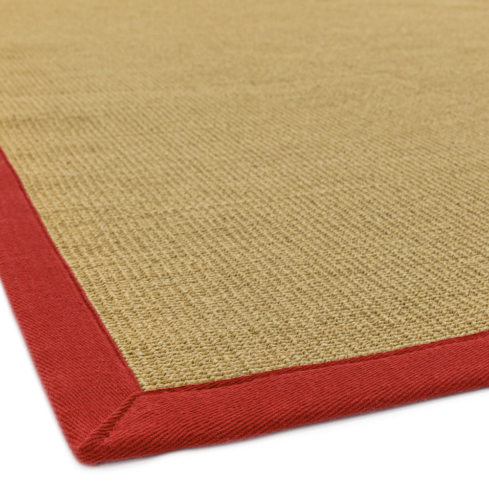Sisal Linen/Red Rug
