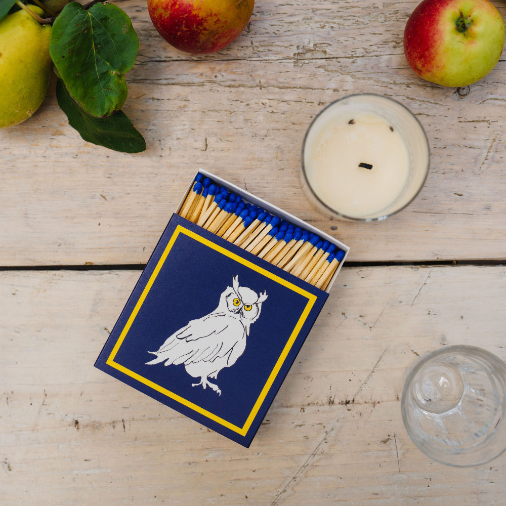 Matches box with owl design on a wooden surface with apples and a candle.