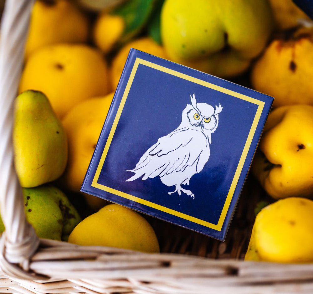 Blue Match Box with an owl design on a background of yellow fruits