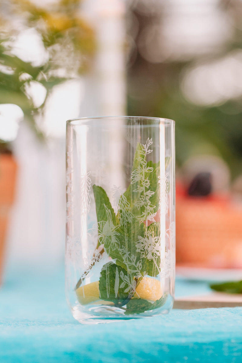 Clear hi Ball glass with mint and lemon fruit on a blurred outdoor background