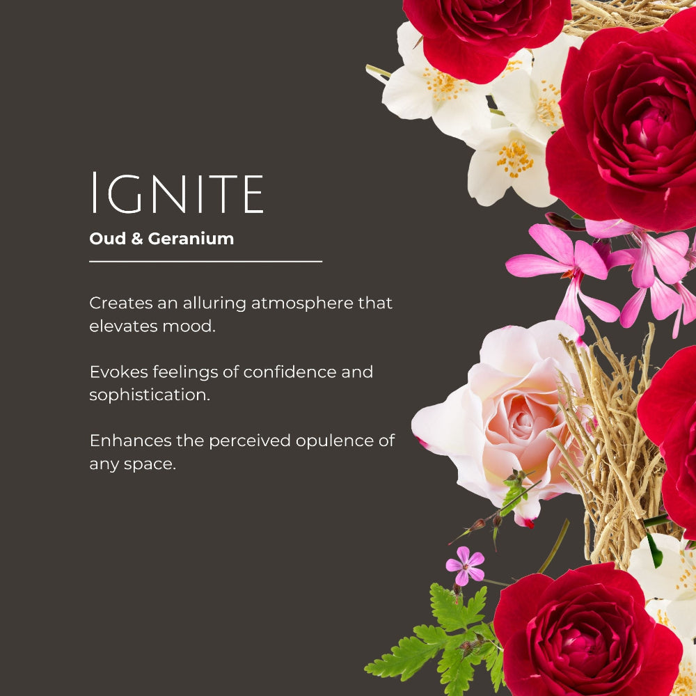 Floral arrangement with red and white roses on a dark background, featuring the word 'IGNITE' and product description text.