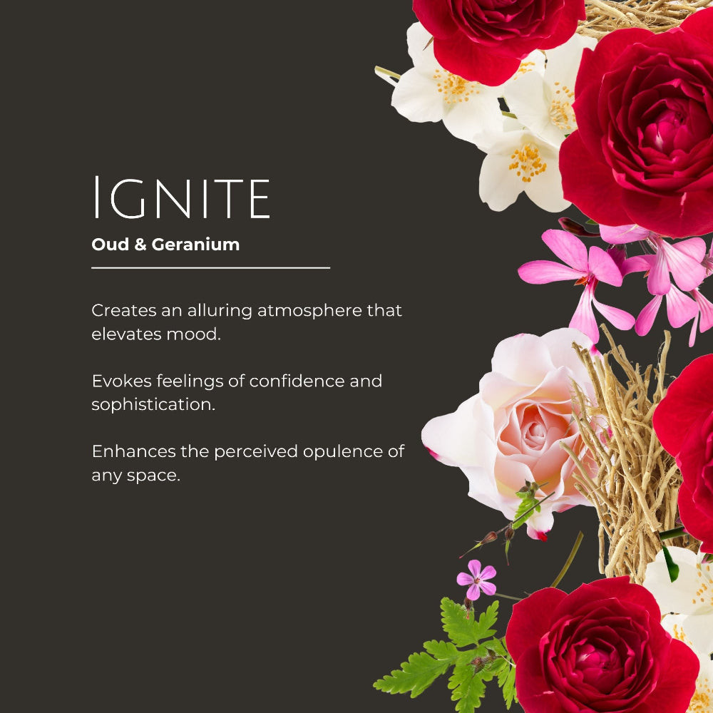 Floral arrangement with red, white, and pink flowers on a dark background, featuring the brand 'IGNITE'.
