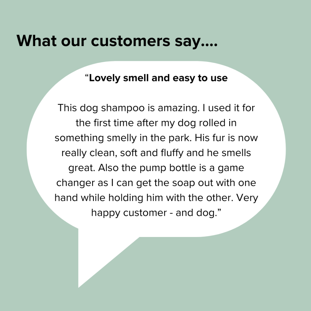 Customer review of a dog shampoo on a light green background