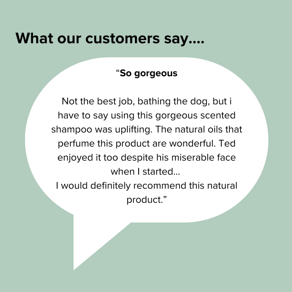 Customer review text on a light green background