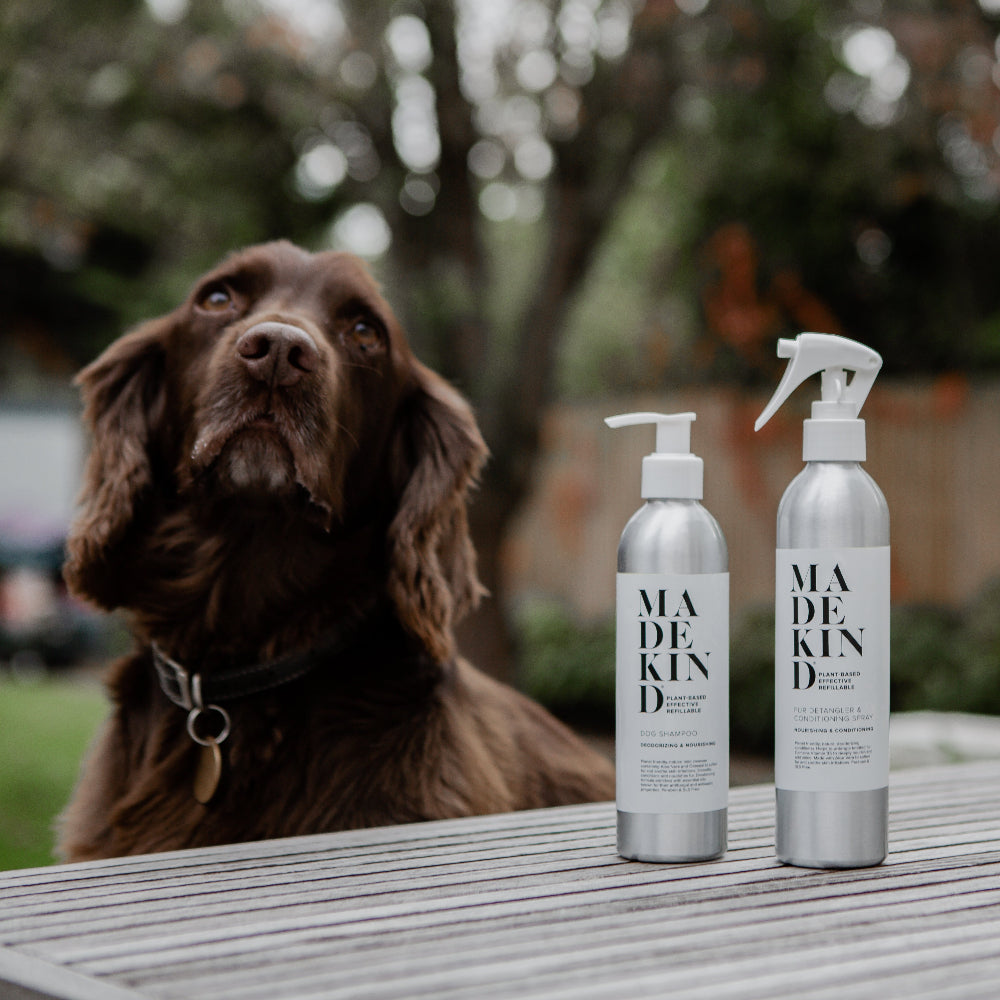Dog sitting next to two 'MADE KIND' pet care products on a wooden surface outdoors.