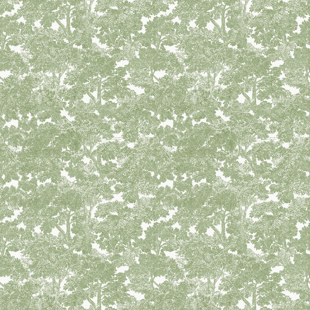 Sherwood Tree wallpaper in colour green and white.