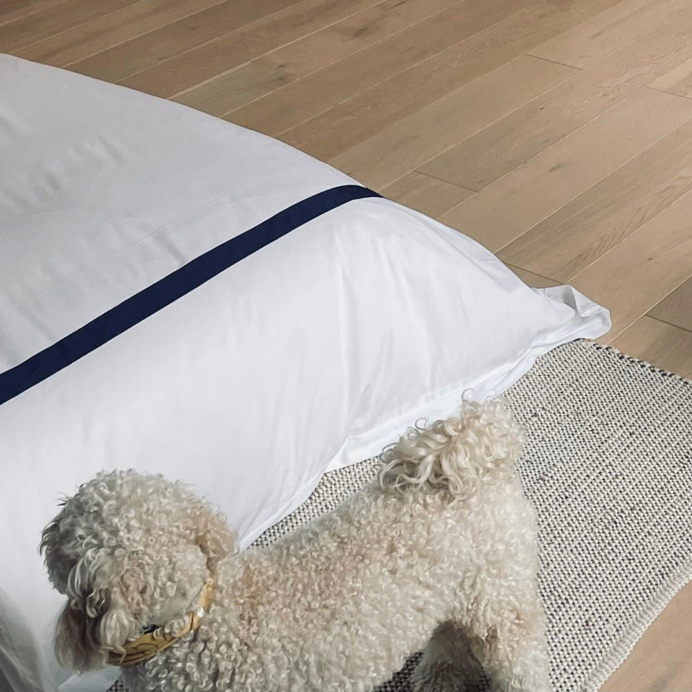 Dog standing on carpet next to bed with white duvet and blue border bedding on a wooden floor.