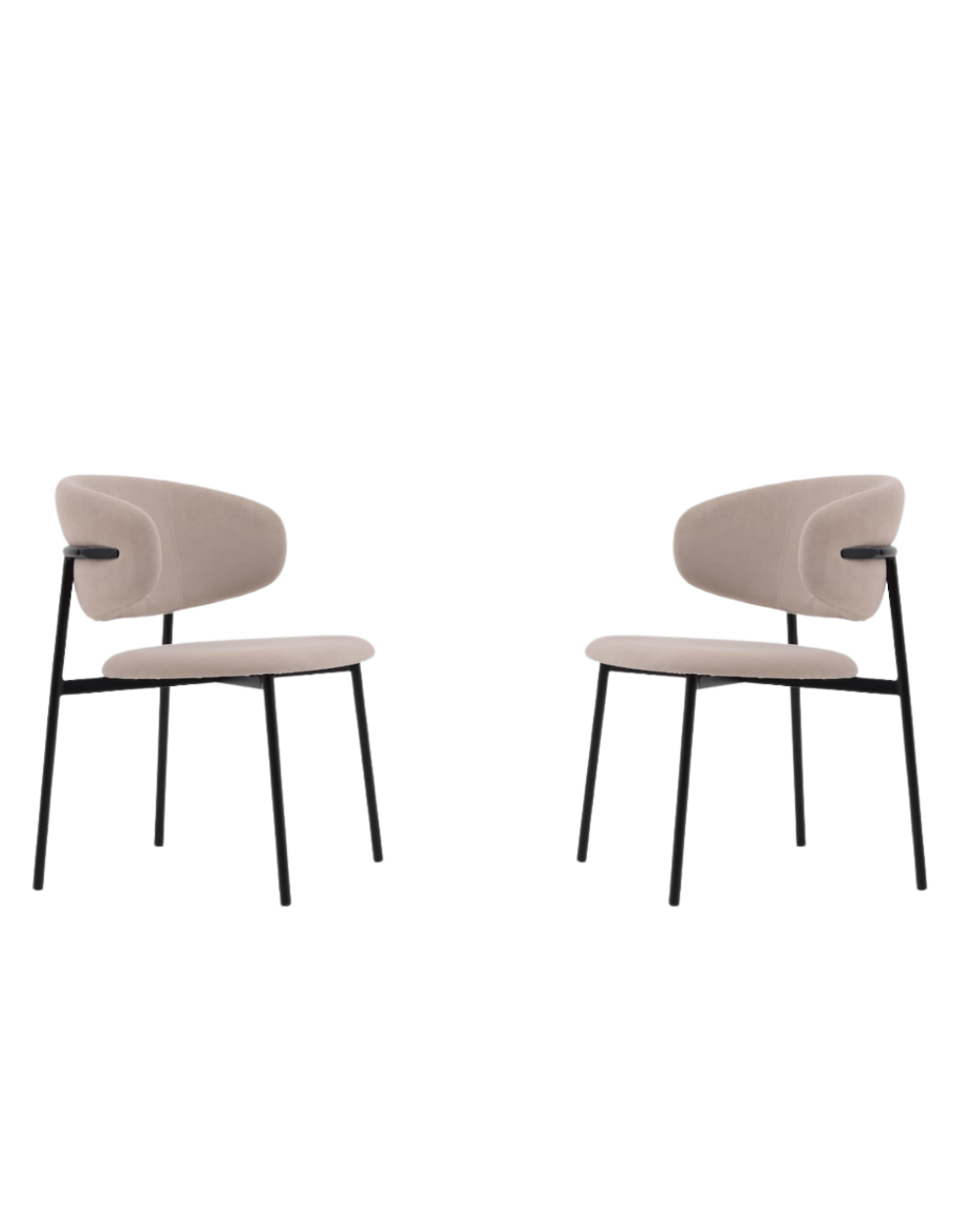 Tommy Franks set of Two beige dining chairs with black legs on a white background