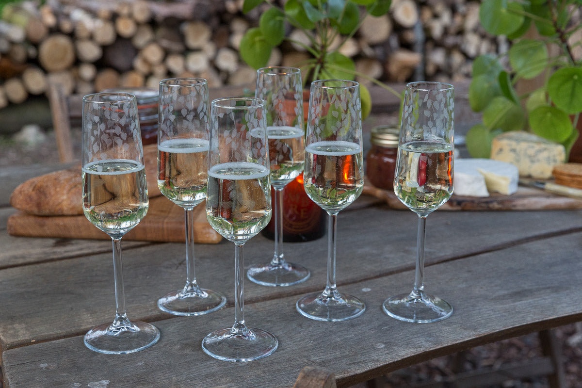 Silver Birch Flutes - Set of 6