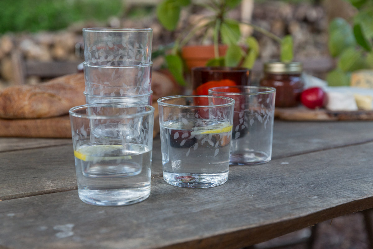 Silver Birch Carafe & 2 Tumbler Gift Set