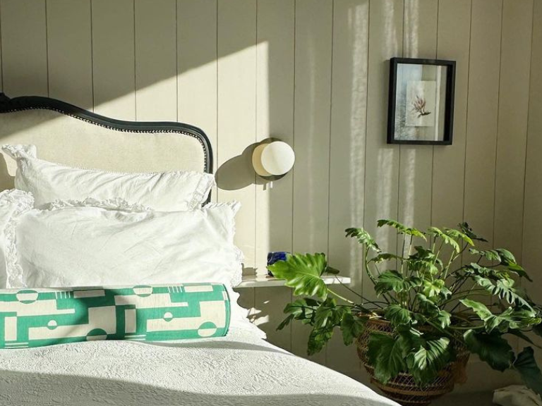 Bedroom with white bedding, a plant, and a framed picture on a wall.