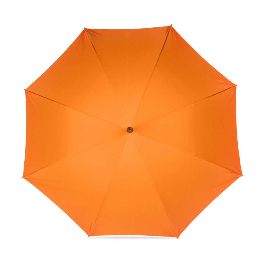 Orange umbrella on a white background