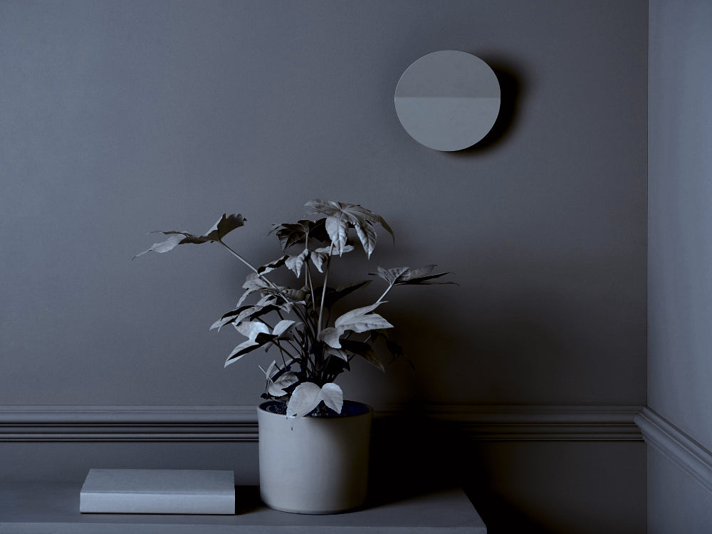 Potted plant on a shelf against a dark grey wall with a circular charcoal wall light.
