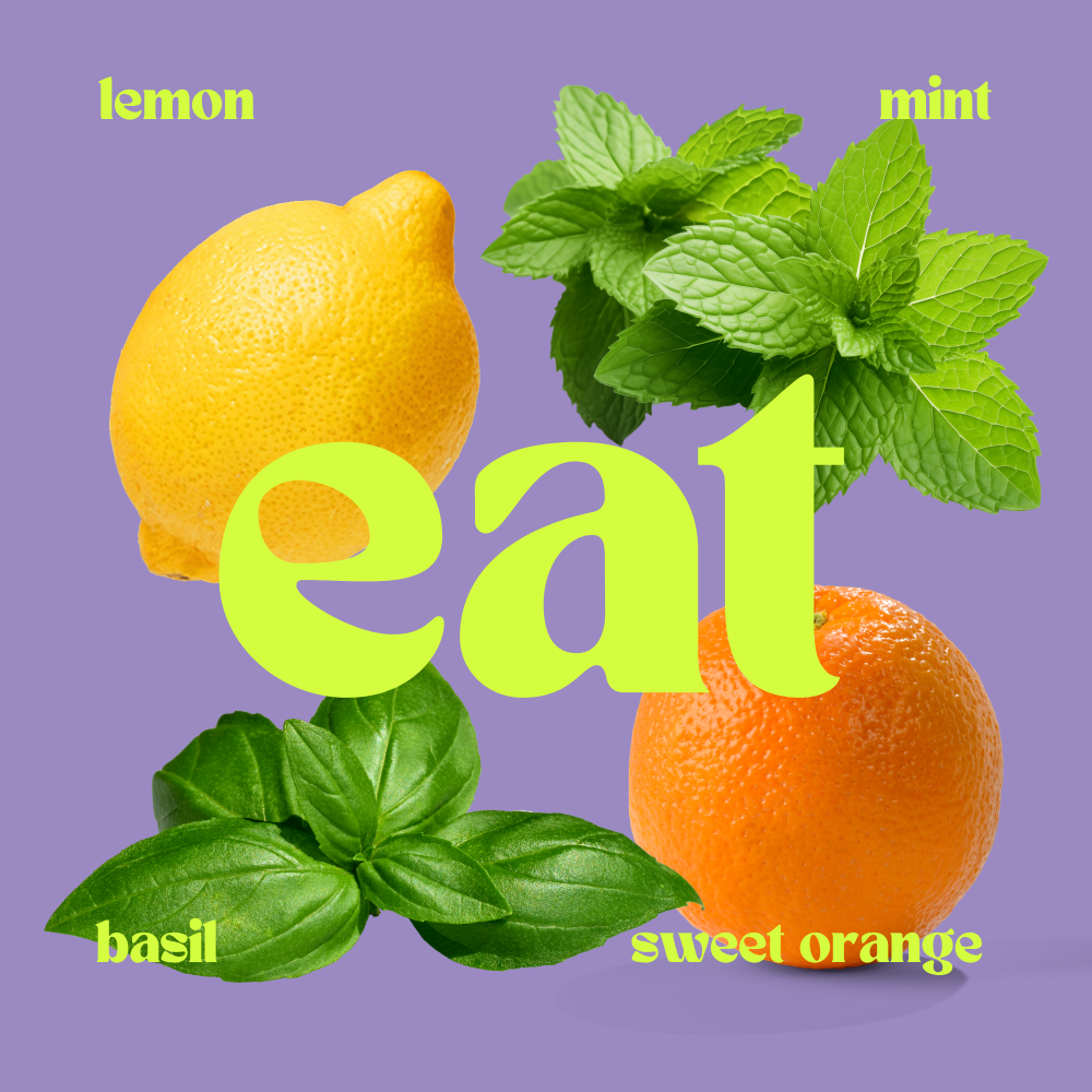 Fruits and herbs scents for Airo london candle lemon mint basil and sweet orange