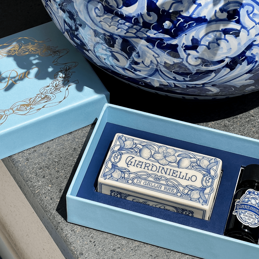 Blue and white ceramic matchbox diffuser with 'Gardiniello' branding in a decorative box.