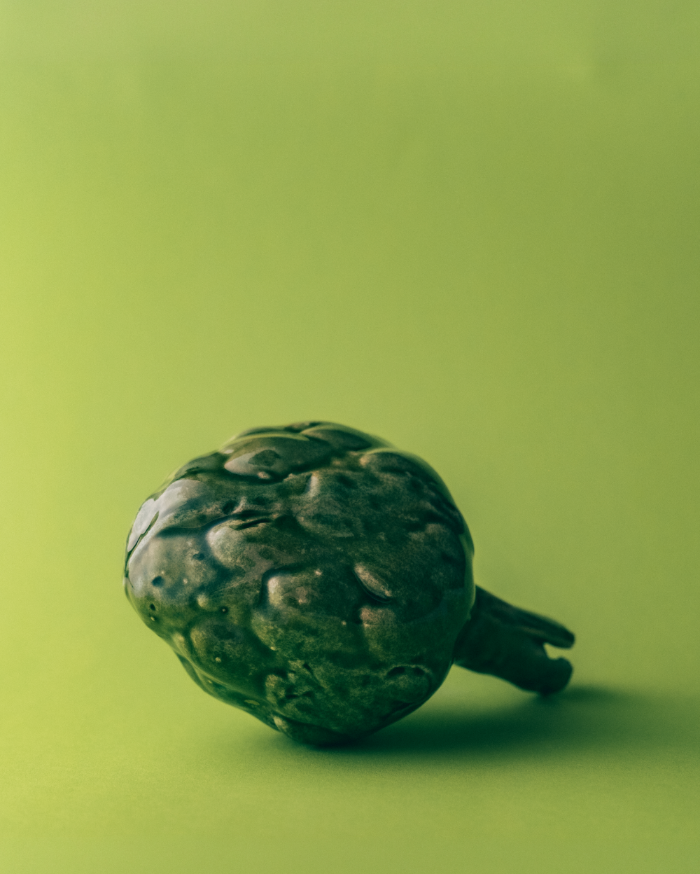 Ceramic Artichoke on a green background