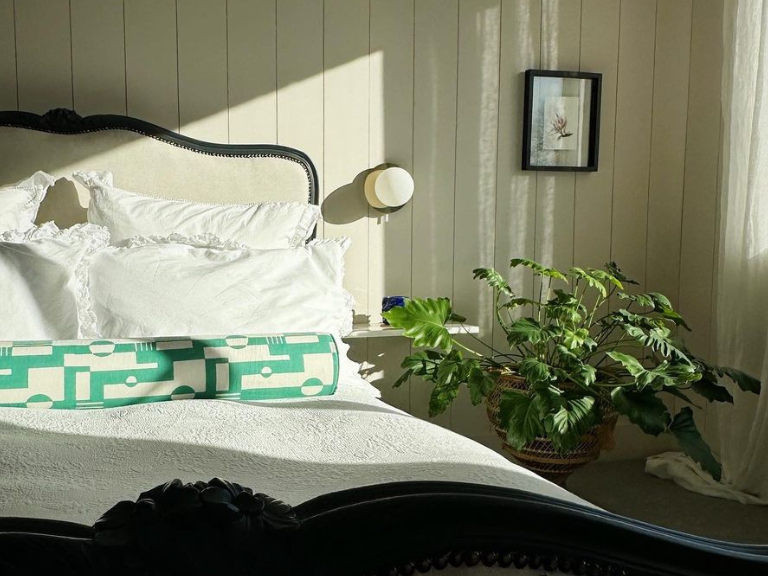 Bedroom with a bed, plant, and lamp in a softly lit room.