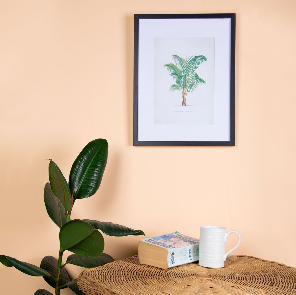 Little Knights Cornfield warm neutral interior paint