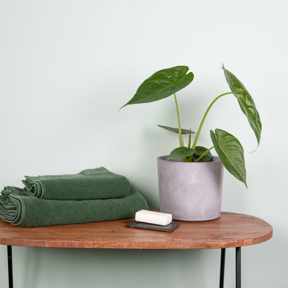 Little Knights Lichen green grey interior paint