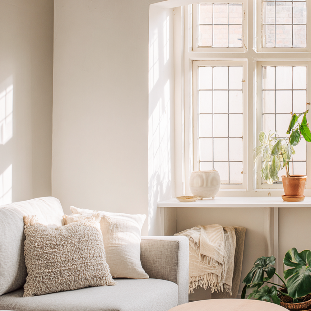 Little Knights Pure soft white interior paint